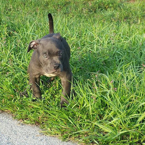 Meet your Posher, Antwan